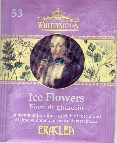 3 53 Ice Flowers