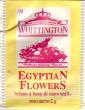 1 39 Egyptian Flowers