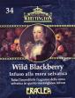 3 34 Wild Blackberry