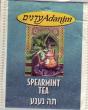 4 Spearmint Tea