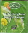 1 Herbata zielona opuncja figowa